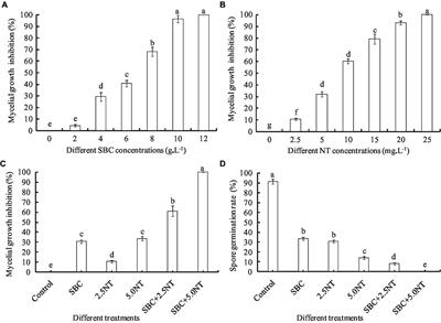 Isolation, identification, biological characteristics, and antifungal efficacy of sodium bicarbonate combined with natamycin on Aspergillus niger from Shengzhou nane (Prunus salicina var. taoxingli) fruit